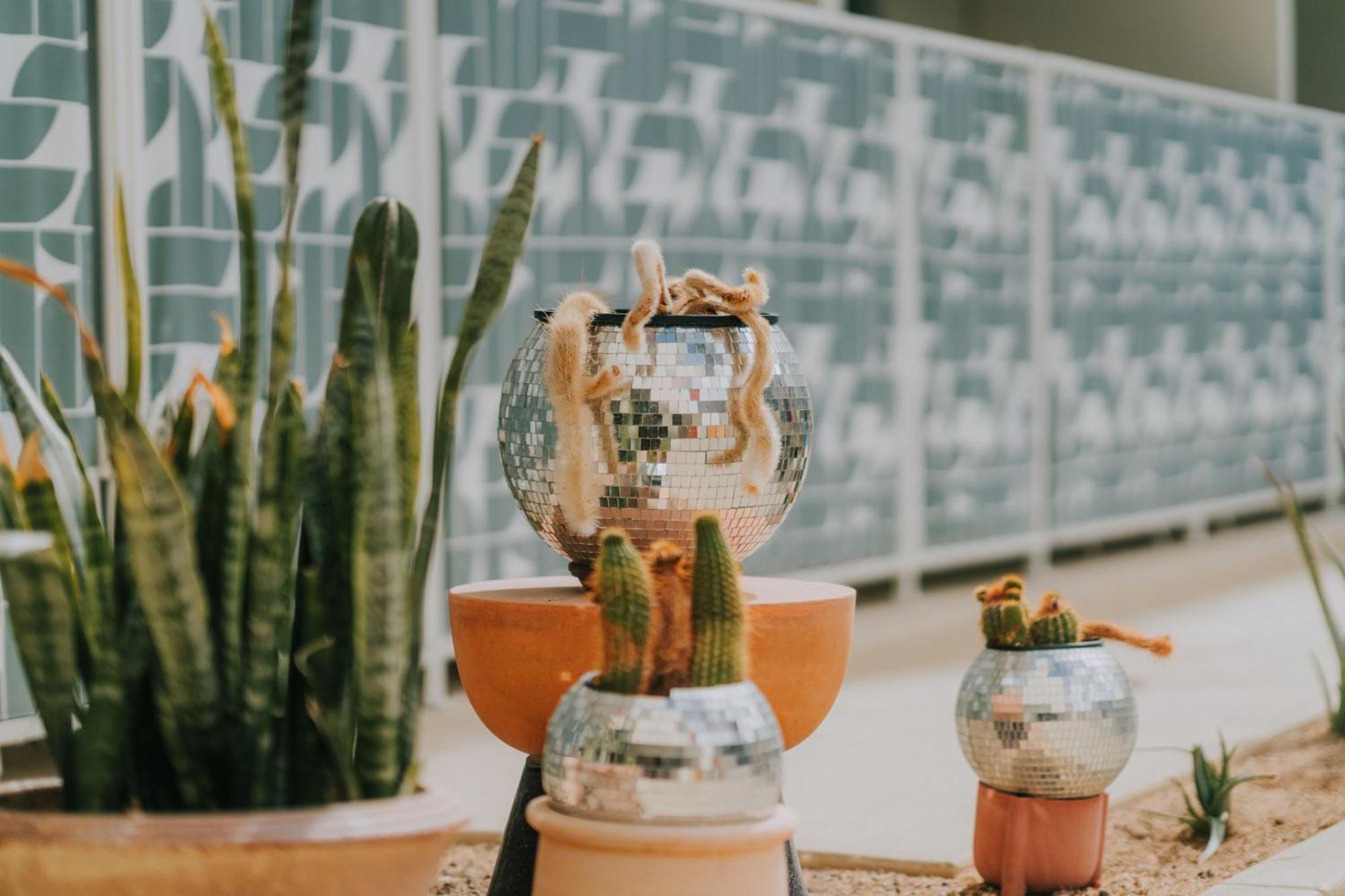 Hotel Royal Sun Palm Springs Zewnętrze zdjęcie