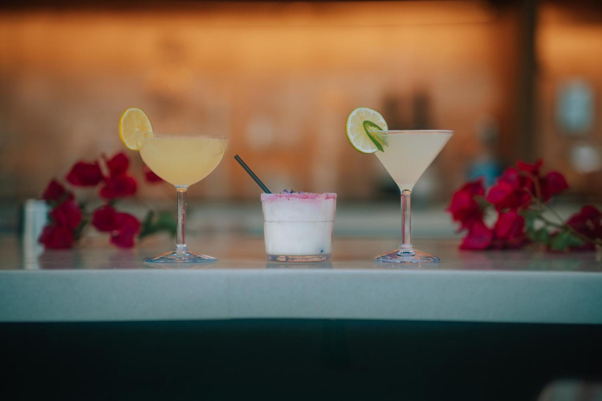Hotel Royal Sun Palm Springs Zewnętrze zdjęcie