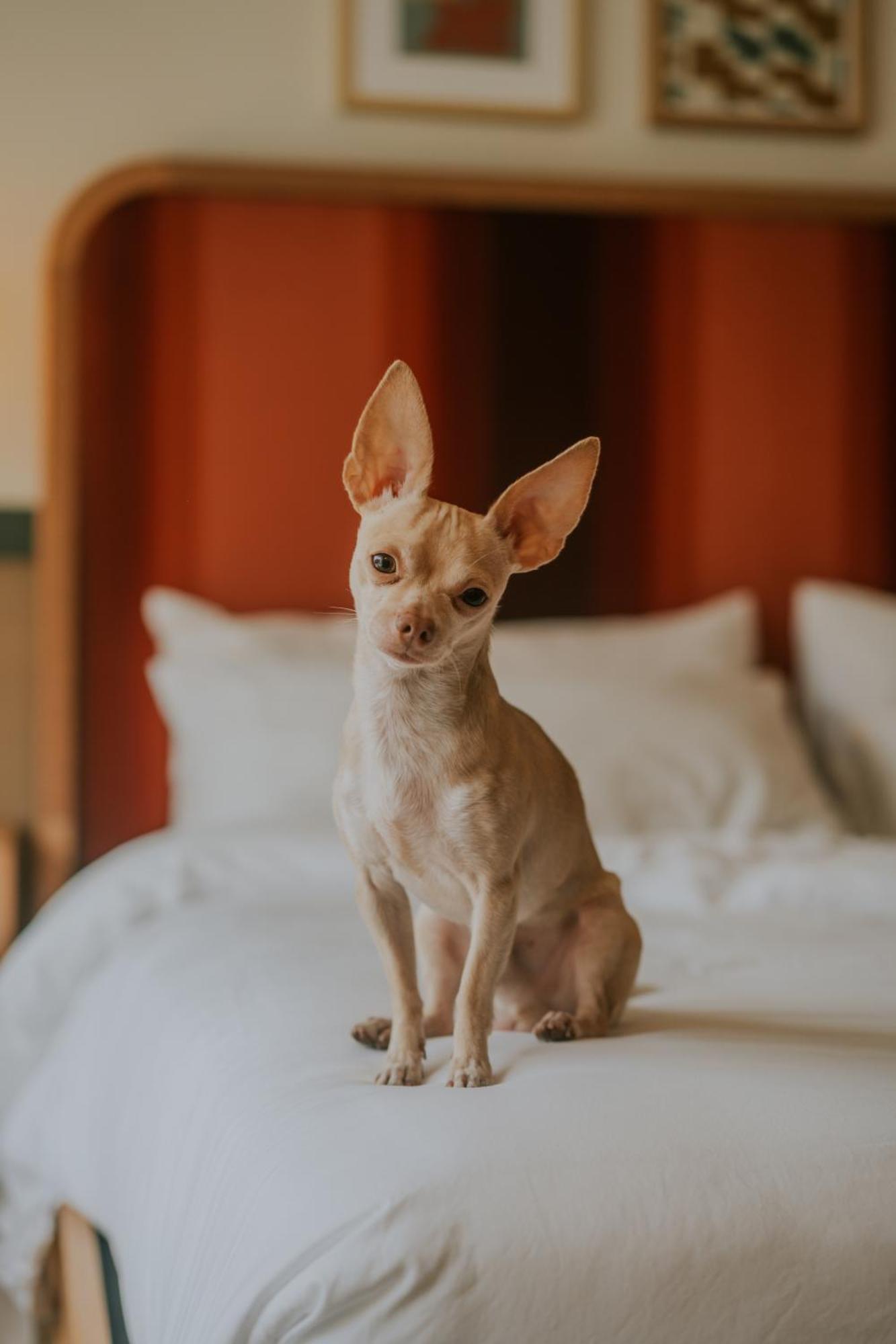 Hotel Royal Sun Palm Springs Zewnętrze zdjęcie