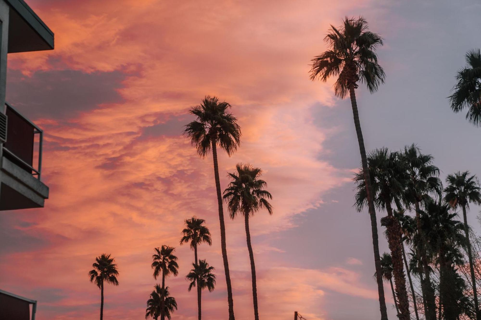Hotel Royal Sun Palm Springs Zewnętrze zdjęcie